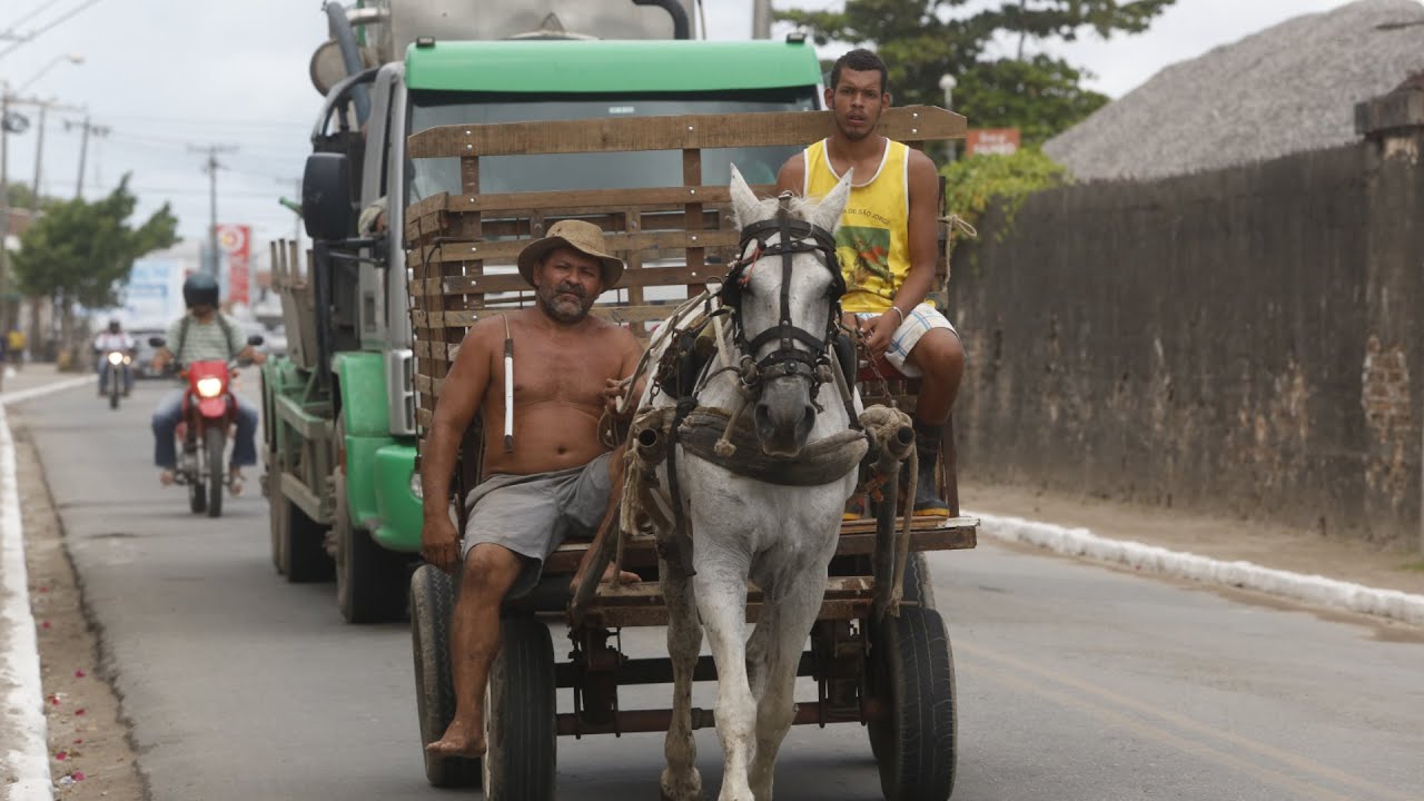 Cavalo é agredido com chutes e chicotadas após empacar em rua de