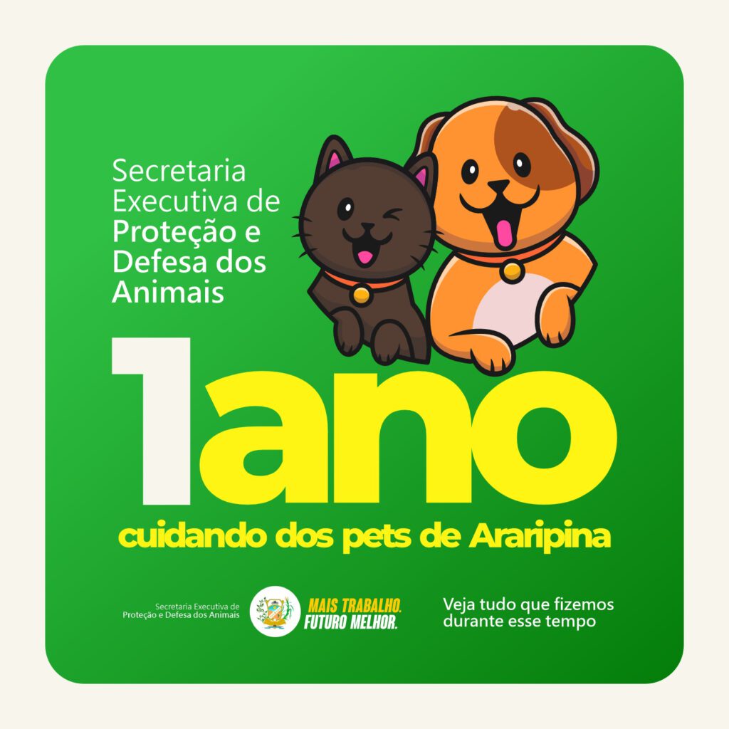 Secretaria Executiva dos Direitos dos Animais lança jogos educativos para  crianças